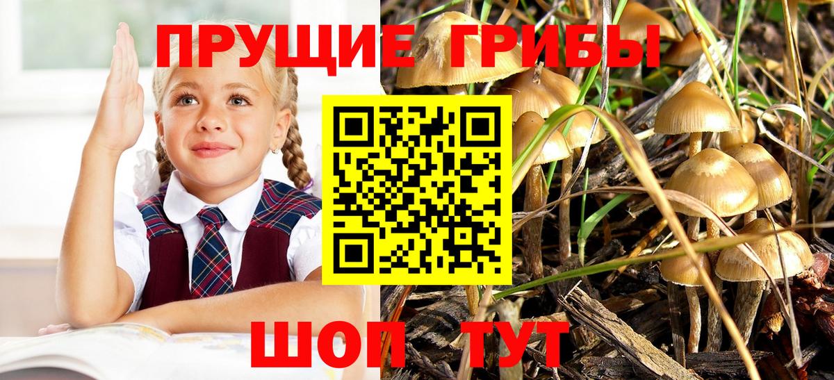 Калуга  Псилоцибиновые грибы Magic Shrooms  наркотики  Псилоцибиновые грибы мицелий  Вход с VPN 