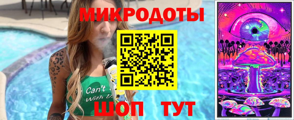 Галлюциногенные грибы Psilocybe Калуга